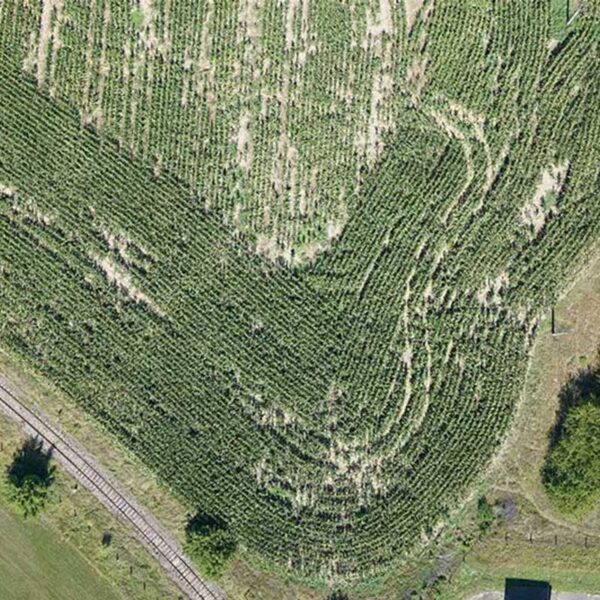 Evidencia škôd po živelných udalostiach a zveri - Image 2